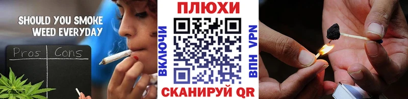 ГАШ Premium Барнаул