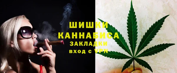 ГАЛЛЮЦИНОГЕННЫЕ ГРИБЫ Наволоки