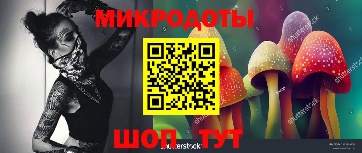 Галлюциногенные грибы прущие грибы Барнаул